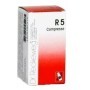 Dr Reckeweg R 5 Rimedio Omeopatico Contro Disturbi Gastrici 100 Compresse