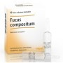 Heel Fucus Compositum 10 Fiale