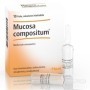 Guna Heel Mucosa Compositum 10 Fiale