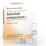 Guna Heel Selenium Compositum 10 Fiale