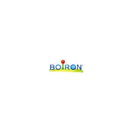 Boiron Cocyntal Soluzione Orale Monodose 20 Flaconcini 1 ml