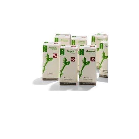 RIBES NE 200ML MG