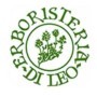 Di Leo Clorofilla Liquido Estratto Alcolico 50 ml