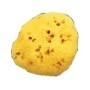 SPUGNA NAT FORI L 8/9CM 5