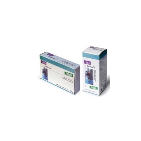 Ulce Bevanda Concentrato Fluido Integratore 240 ml