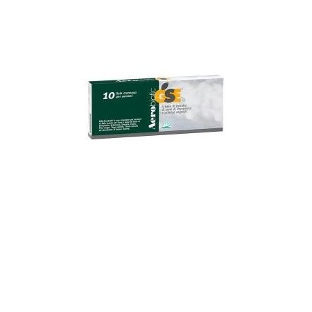 Gse Aerobiotic Soluzione Per Aerosol 10 Flaconcini