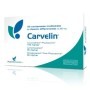 PharmExtracta Carvelin Integratore Microcircolo 20 Compresse