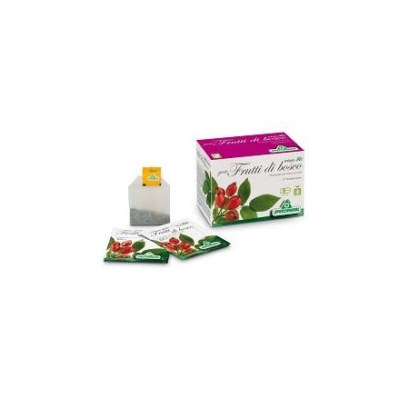 Specchiasol Infuso Bio Gusto Frutti Di Bosco 20 Filtri