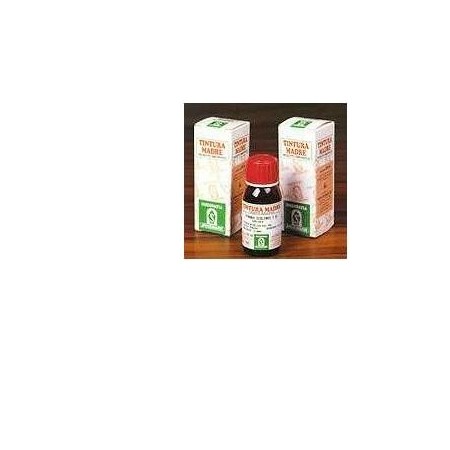 Specchiasol Soluzione Idroalcolica 61 Erisimo Per Vie Respiratorie 50 Ml