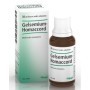 Guna Heel Gelsemium Homaccord Gocce 30 ml