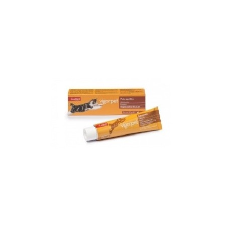 Candioli Vigorpet Pasta Integratore Multivitaminico Gatti 50 g