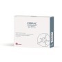 Cebral Integratore Benessere Psicofisico 14 Bustine