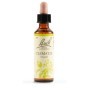 Schwabe Fiori di Bach 09 Clematis Gocce 20 ml