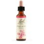 Schwabe Fiori di Bach 10 Crab Apple Gocce 20 ml
