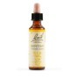 Schwabe Fiori di Bach 12 Gentian  Gocce 20 ml