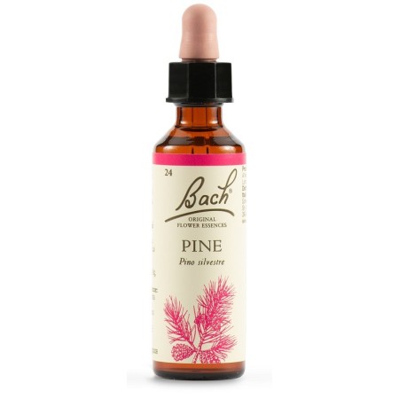 Schwabe Fiori di Bach 24 Pine Gocce 20 ml
