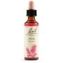 Schwabe Fiori di Bach 24 Pine Gocce 20 ml