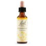 Schwabe Fiori di Bach 28 Scleranthus Gocce 20 ml
