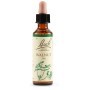 Schwabe Fiori di Bach 33 Walnut Gocce 20 ml