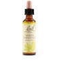Schwabe Bach Original White Chestnut Fiori di Bach 20 ml