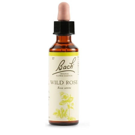 Schwabe Fiori di Bach 36 Wild Rose Gocce 20 ml