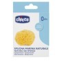 Chicco Spugna Marina Caraibica Media