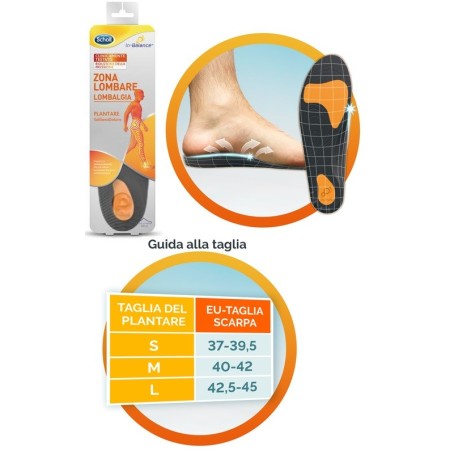 Scholl Zona Lombare Plantare per Lombalgia Taglia M 2 Pezzi