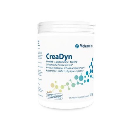 CREADYN 33 PORZIONI 293G