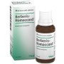 Guna Heel Berberis Homac Gocce 30 ml