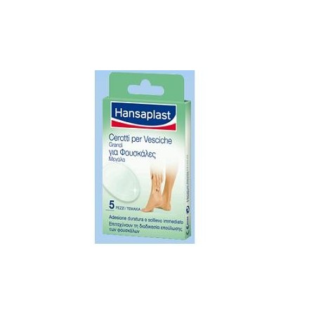 HANSAPLAST CER VESC GRANDI 5PZ