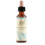 Schwabe Fiori di Bach 27 Rock Water Gocce 20 ml
