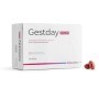 GESTDAY PLUS 60PRL